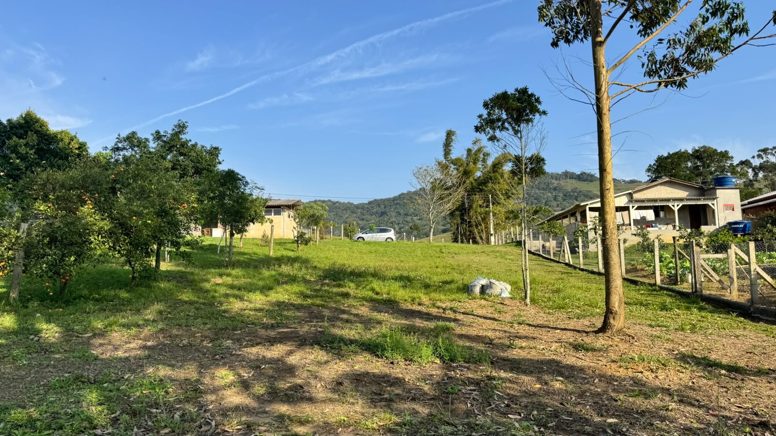 Pomar e horta no terreno, com morros ao fundo